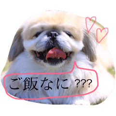 [LINEスタンプ] maron0407