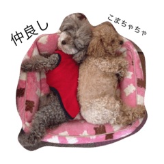 [LINEスタンプ] こまめとちゃちゃ