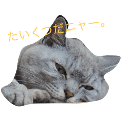 [LINEスタンプ] マリリンライフ