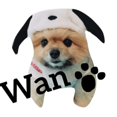 [LINEスタンプ] 今日のてぃんくたん