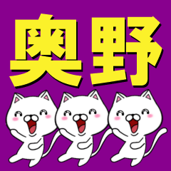 [LINEスタンプ] 超★奥野(おくの・オクノ)なネコの画像（メイン）