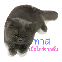 [LINEスタンプ] Leelee74