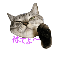[LINEスタンプ] NEITO.2