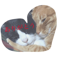 [LINEスタンプ] sabukota2
