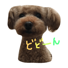 [LINEスタンプ] ぼくは、ぜんです。。。3