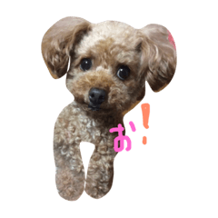 [LINEスタンプ] ぼくは、ぜんです。。2