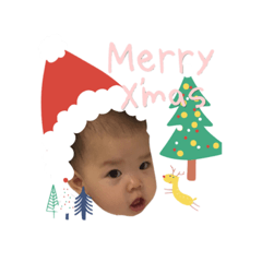 [LINEスタンプ] Merry Christmas to Lucia