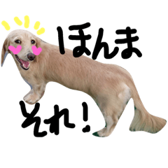 [LINEスタンプ] Lovely dog kanna1