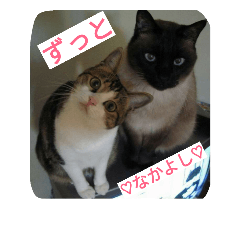 [LINEスタンプ] miinana