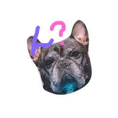 [LINEスタンプ] でんちゃんだよ！