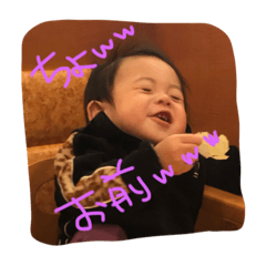 [LINEスタンプ] けいごくんスタンプ