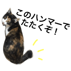 [LINEスタンプ] おちゅとちょびの日常