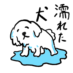 [LINEスタンプ] 濡れた犬