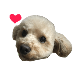 [LINEスタンプ] まるぷーのそら