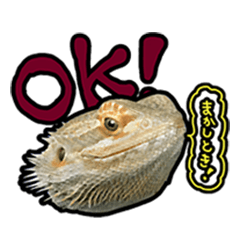 [LINEスタンプ] フトアゴヒゲトカゲの黒龍