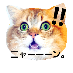 [LINEスタンプ] きよまろライフ