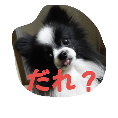 [LINEスタンプ] さくらでしの・2