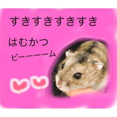 [LINEスタンプ] はむかつのまいにち