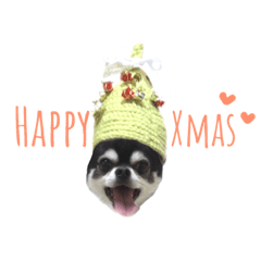 [LINEスタンプ] チワワのクリスマスとお正月