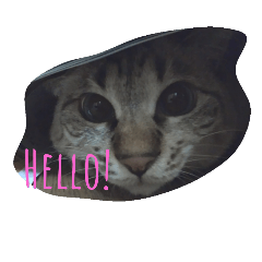 [LINEスタンプ] まちことちはる