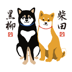 [LINEスタンプ] 大人気の柴犬の柴田さんと新キャラ黒柳さんの画像（メイン）