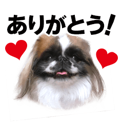 [LINEスタンプ] どんくさ犬ペケ