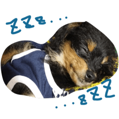 [LINEスタンプ] Banisuta