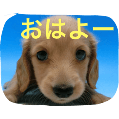 [LINEスタンプ] Earlstamp