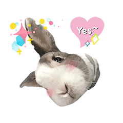 [LINEスタンプ] Happy little rabbit