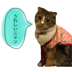 [LINEスタンプ] 我が家のにゃん達です2