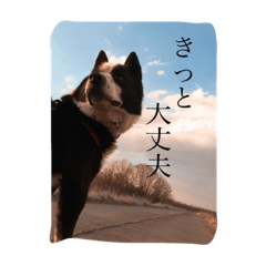 [LINEスタンプ] オレオの勇気