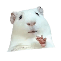 [LINEスタンプ] Bobo_the guineapig