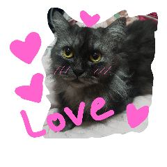 [LINEスタンプ] cat face crank