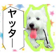 [LINEスタンプ] アンティー君NO2