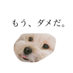 [LINEスタンプ] ふう スタンプ