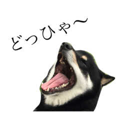 [LINEスタンプ] 六蔵です2