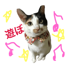 [LINEスタンプ] えむおーつー