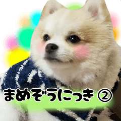 [LINEスタンプ] ポメラニアン まめぞう日記②