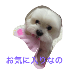 [LINEスタンプ] まるチワワのアン  2