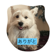 [LINEスタンプ] にこジェニミラン