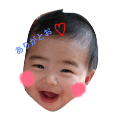 [LINEスタンプ] さくたんスタンプ