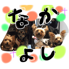 [LINEスタンプ] みみるる 2