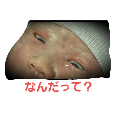[LINEスタンプ] 日常で使えそうなスタンプ