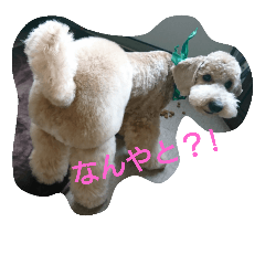 [LINEスタンプ] miro miro