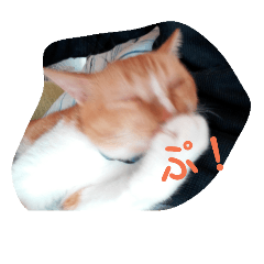 [LINEスタンプ] たびたん