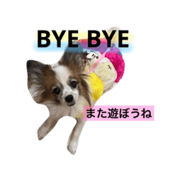 [LINEスタンプ] サニームーポロンスタンプ