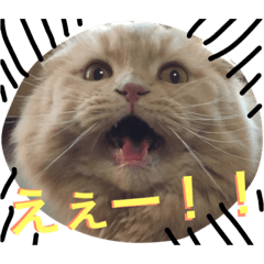 [LINEスタンプ] まるとげっぺい