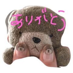 [LINEスタンプ] くまちんの日常