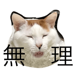 [LINEスタンプ] ©️at ＆