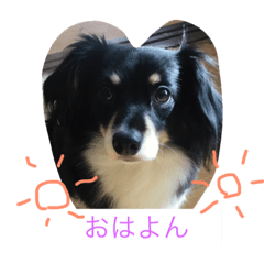 [LINEスタンプ] Mokochan everyday